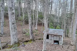 633 Timber Ridge Rd, Blairsville, GA 30512 - Photo 57
