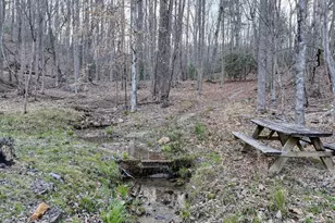 633 Timber Ridge Rd, Blairsville, GA 30512 - Photo 69