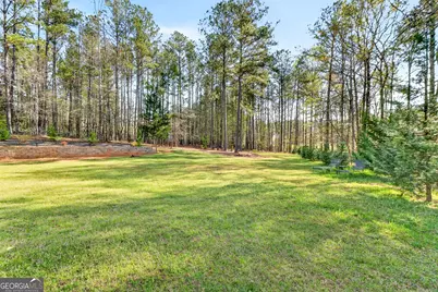 331 Patrick Circle, Jenkinsburg, GA 30234 - Photo 37