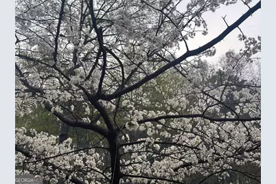 1104 Farm Road, Colbert, GA 30628 - Photo 31