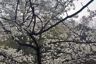 1104 Farm Rd, Colbert, GA 30628 - Photo 31