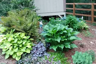 57 Cherry Ct, Ellijay, GA 30540 - Photo 47