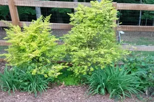 57 Cherry Ct, Ellijay, GA 30540 - Photo 49