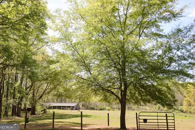 1017 Bruce Jackson Road, Newnan, GA 30263 - Photo 39