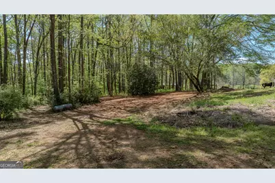 1017 Bruce Jackson Road, Newnan, GA 30263 - Photo 45