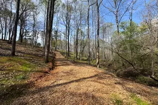 117 Kinney Creek Ln, Pendergrass, GA 30567 - Photo 17