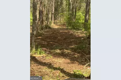 0 Jackson Road, Griffin, GA 30223 - Photo 5