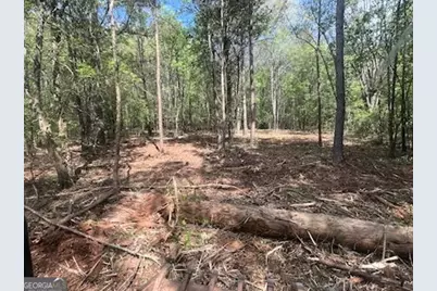 0 Jackson Road, Griffin, GA 30223 - Photo 7