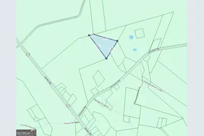 N/S Hwy 131 Lecounte Road, Townsend, GA 31331 - Photo 3