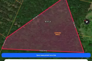 N/S Hwy 131 Lecounte Rd, Townsend, GA 31331 - Photo 1