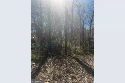 11005 Regents Court, Hampton, GA 30228 - Photo 3