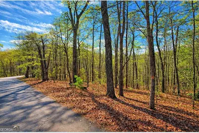 Lot 37 Clear Creek Acres, Talking Rock, GA 30175 - Photo 1