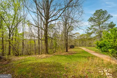 3467 Carver Mill Road, Talking Rock, GA 30175 - Photo 9