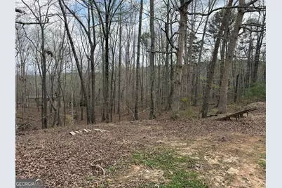 3467 Carver Mill Road, Talking Rock, GA 30175 - Photo 27