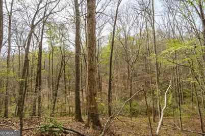 3467 Carver Mill Road, Talking Rock, GA 30175 - Photo 11