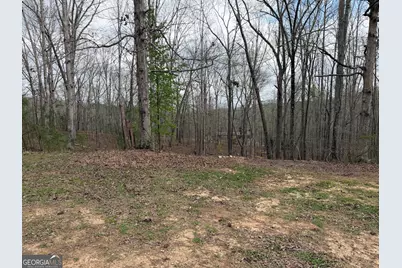 3467 Carver Mill Road, Talking Rock, GA 30175 - Photo 29