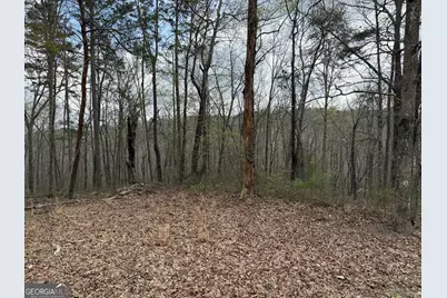 3467 Carver Mill Road, Talking Rock, GA 30175 - Photo 33