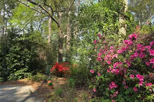 207 Wellington Cir, Statesboro, GA 30458 - Photo 5