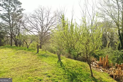 152 Eastside Drive, Demorest, GA 30535 - Photo 23