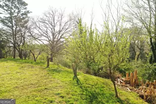 152 Eastside Dr, Demorest, GA 30535 - Photo 23