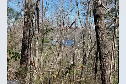 Lot 27 Lake Rabun Bluffs, Lakemont, GA 30552 - Photo 3