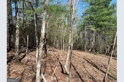 Lot 27 Lake Rabun Bluffs, Lakemont, GA 30552 - Photo 9