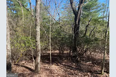 Lot 27 Lake Rabun Bluffs, Lakemont, GA 30552 - Photo 11