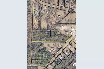 12195 Warm Springs Road, Ellerslie, GA 31807 - Photo 1