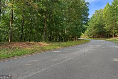 6314 Point Twenty Two, Gainesville, GA 30506 - Photo 3
