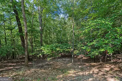6314 Point Twenty Two, Gainesville, GA 30506 - Photo 9