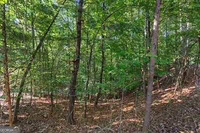 6314 Point Twenty Two, Gainesville, GA 30506 - Photo 7