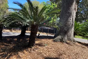 103 Kiln Trail, Saint Simons, GA 31522 - Photo 3