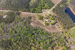 60 Tucker Rd, Claxton, GA 30417 - Photo 45