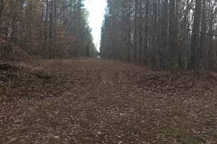 0 Golden Rd, Temple, GA 30179 - Photo 1