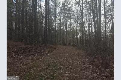 0 Golden Road, Temple, GA 30179 - Photo 5