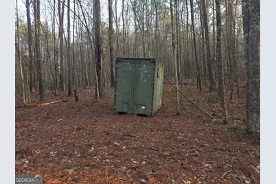 0 Golden Road, Temple, GA 30179 - Photo 7