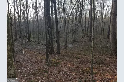 0 Golden Road, Temple, GA 30179 - Photo 3