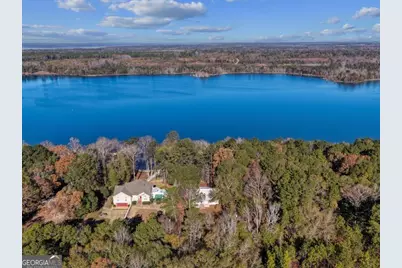 221 Sunset Point Road, Fort Gaines, GA 39851 - Photo 41