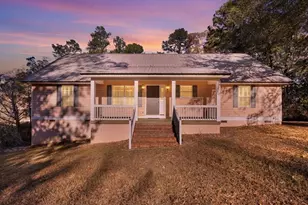 221 Sunset Point Rd, Fort Gaines, GA 39851 - Photo 55