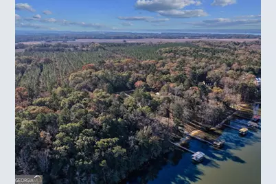 221 Sunset Point Road, Fort Gaines, GA 39851 - Photo 45
