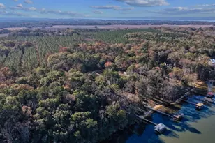 221 Sunset Point Rd, Fort Gaines, GA 39851 - Photo 45