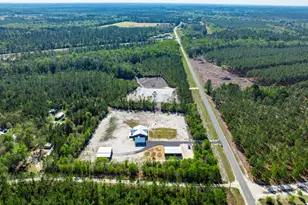 4701 Riggins Rd, Blackshear, GA 31516 - Photo 33