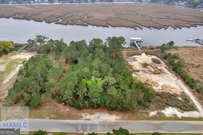 Lot 29 Jerico Marsh Road, Midway, GA 31320 - Photo 9