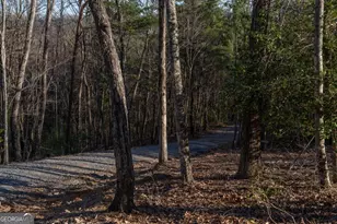 802 Mull Valley Rd, Morganton, GA 30560 - Photo 63