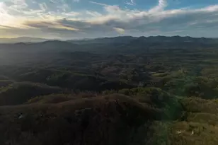 802 Mull Valley Rd, Morganton, GA 30560 - Photo 13