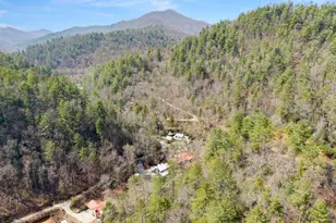 7880 Hiawassee Wilderness Trail, Hiawassee, GA 30546 - Photo 73