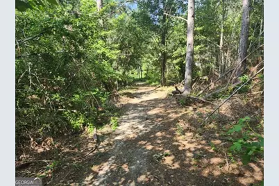 184 Eagle Pass, Swainsboro, GA 30401 - Photo 77