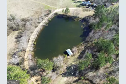 184 Eagle Pass, Swainsboro, GA 30401 - Photo 67