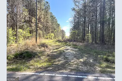 471 N Raburn Road, Bremen, GA 30110 - Photo 1