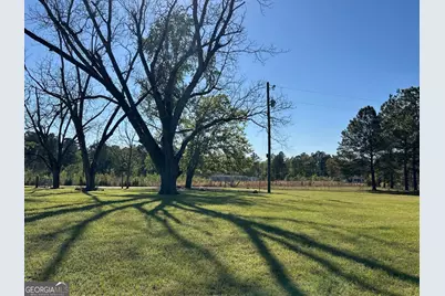 4645 Pleasant Plains Road, Harrison, GA 31035 - Photo 3